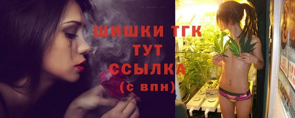 крисы Покачи