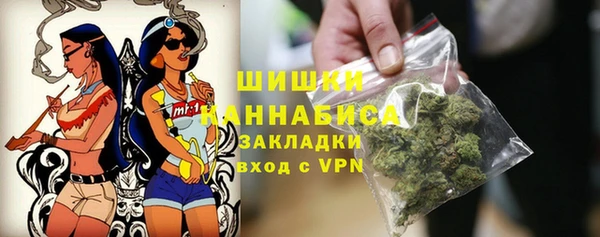 крисы Покачи