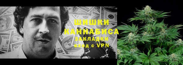 крисы Покачи